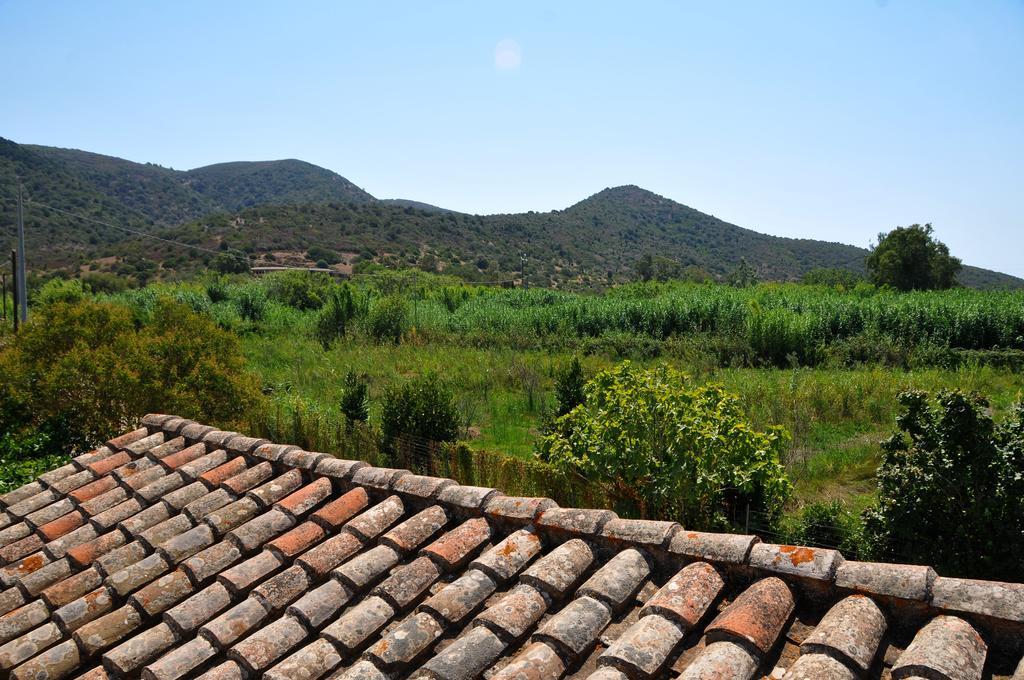 特乌拉达Agrituerra住宿加早餐旅馆 外观 照片